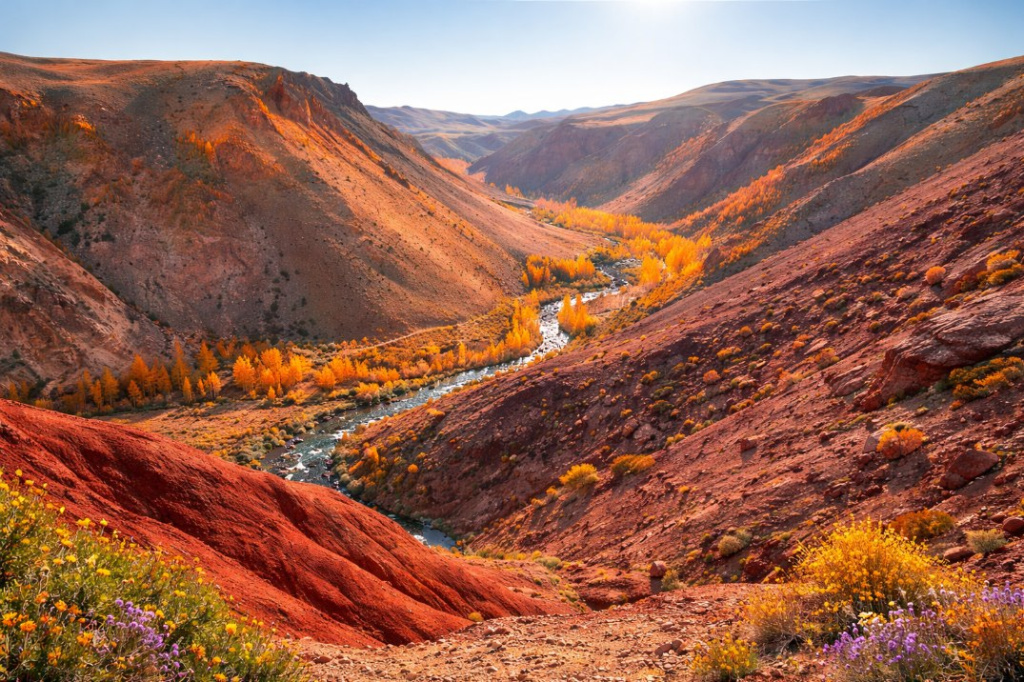 Алтайский Марс